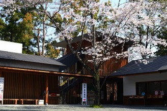 井の国　風涼殿