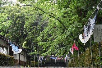 5月特別御朱印、鯉のぼり