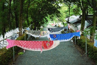 koinobori_01