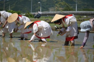 taue_2024