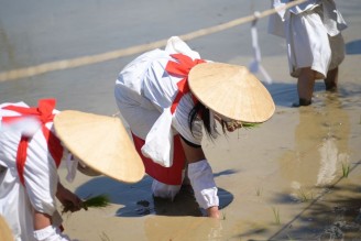 〇DSC_8054_R